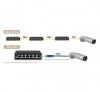 Switch D-LINK DES-F1006P