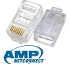 Đầu UTP AMP