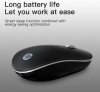 Chuột không dây HP S1500 (3CY48PA)