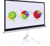 Màn chiếu đứng 84'' Apollo/Dalite
