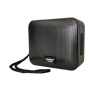 Loa Soundmax R-300