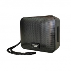 Loa Soundmax R-300