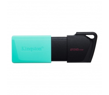 USB Kingston 256GB DTXM